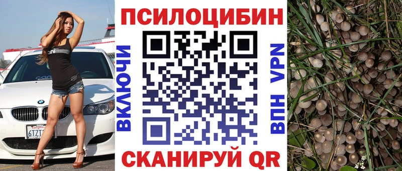 Псилоцибиновые грибы Cubensis  купить  цена  Лесосибирск 